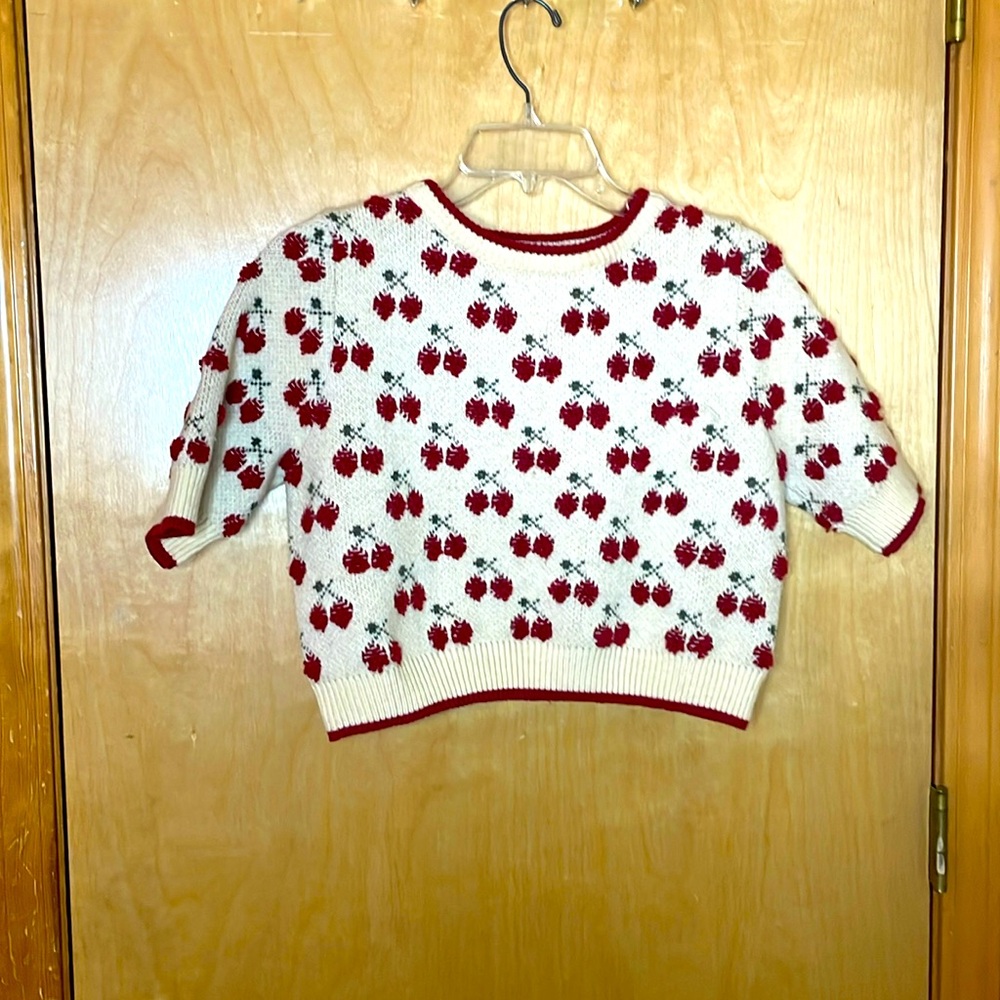 Cider size large cherry cropped sweater